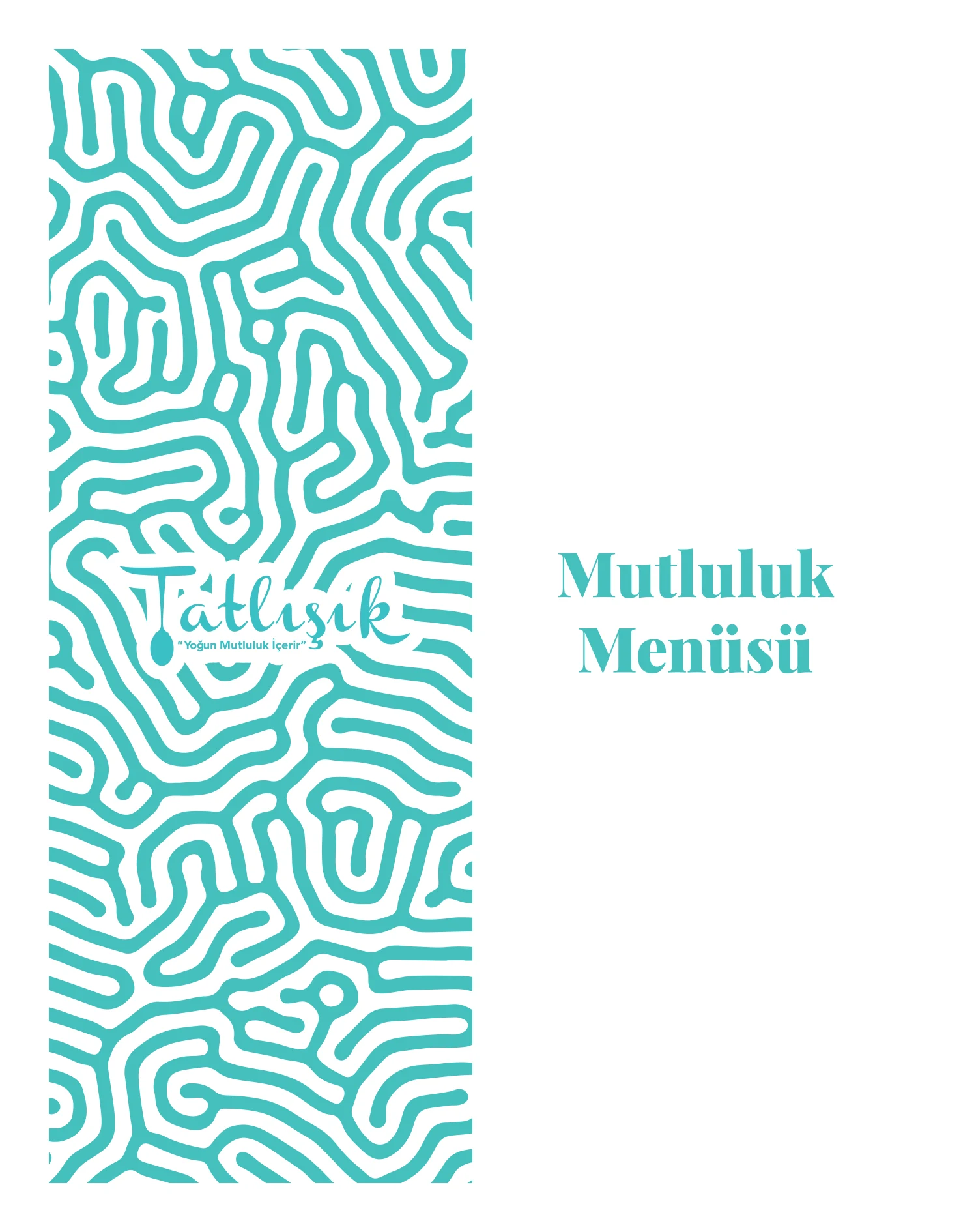 TATLIŞIK E-Katalog Kapak
